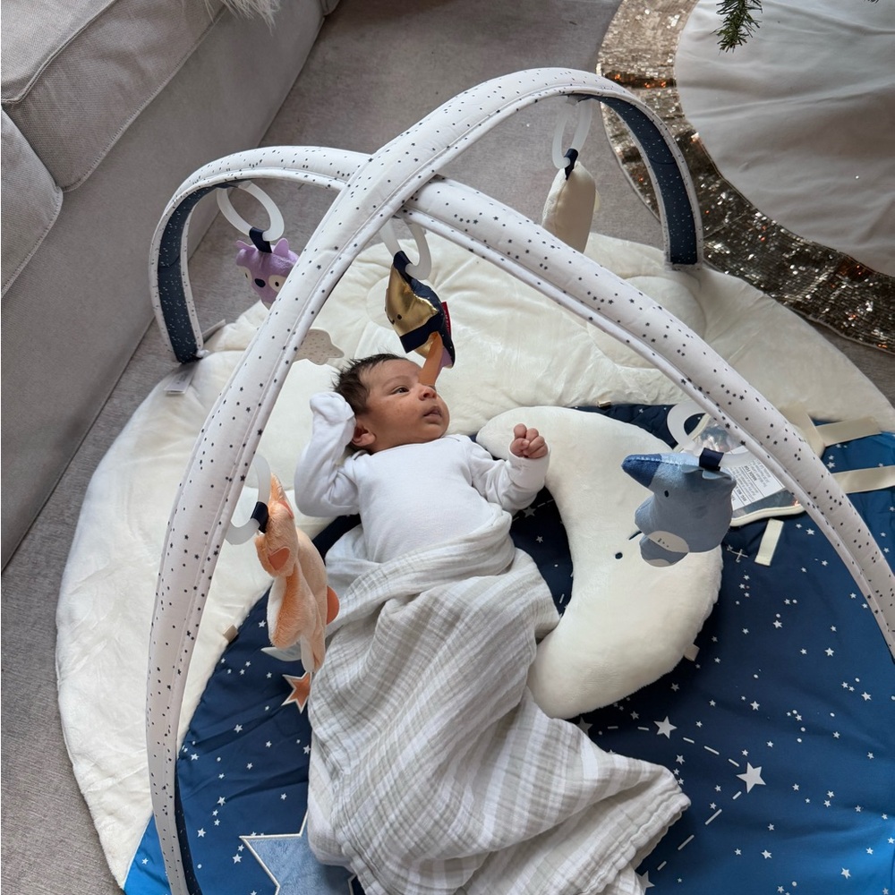 Skip Hop Celestial Dreams Activity Gym - Blue and White